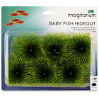 2607439 Imagitarium Baby Fish Hideout 800443232897