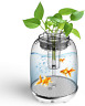 313112160112 Ecoconut Fish Tank Aquarium Starter Kits With Automatic