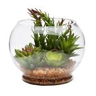 32179521 Unbranded Purple Tip Succulent