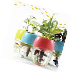 323657 U Aqua Aquaponic Fish