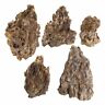 329 Caribsea Exotica Dragon Stone Aquascaping 008479003294