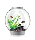 45668 Biorb Classic 30 Aquarium 822728000441
