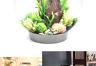 45697.0 Biorb Classic Aquarium With Mcr Gallon White Liter