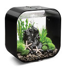 45821 Biorb Life Aquarium Tank