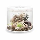 45974 Biorb By Oase Tube Mcr Aquarium