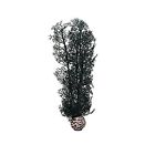 46097.0 Biorb Sea Fan Medium Black Aquariums Tanks Fish 822728007631