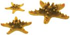 46135 Deepwater Aquatics Biorb 0 822728005682