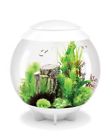 48481 48487 Oase Biorb Halo By Aquarium Kit With Aeration Filtration Lighting