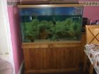 48x30x24 Unbranded 150 Gallon Fish