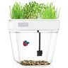 50026 Back To The Roots Water Garden Aquaponic Gal Fish Tank