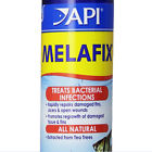 5029493 Fin Tail Rot Infection Treatment Anti Bacterial Aquarium 648865029493