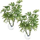 5054424728465 Zoo Med Laboratories Betta Plant Bamboo Pack Aquariums