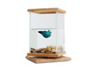 51002 Segarty Rotatable Fish Bowls Bamboo