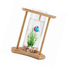 510112 Sa 510112 Sa Unbranded Small Aquarium 789185757410