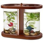510147sa Segarty Fish Bowls Cool 789185757441