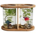 510167sa Segarty Aquariums Cool Design 612520575342