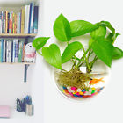 51972 Unbranded New Wall Mount Hanging Fish Bubble Aquarium Bowl Tank Home Decoration Pot Plant 658692519722