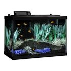 52981 Glass Fish Aquarium Tetra