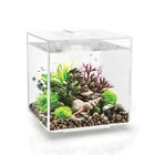 54484 Biorb Led Aquarium Tank
