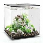 54515 Biorb By Oase Cube Aquarium With Led Light