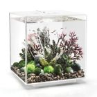54531 Biorb By Oase Cube Aquarium With Mcr Light