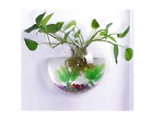 5ljj01 Generic Small Wall Mounted 808204436201