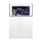 60.3 Waterbox Aquariums Platinum Reef