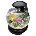 600161793669 Tetra Waterfall Globe Fish