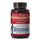 601133624561 Health Solution Probiotics Anti