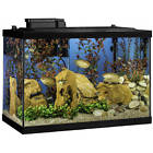 60917 Non Branded Aquarium Fish 729098060917