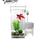 629769677867 Unbranded Self Cleaning Mini Fish Tank Desktop Aquarium