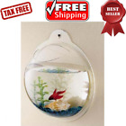 651046601098 Cnz Wall Mounted Transparent
