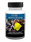 667297831184 Thomas Labs Fish Min 667297831184 Thomas Labs Fish Min