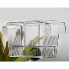 669591483670 Aquarium Breeding Tanks Fishes Boxes Double Guppies Hatching