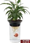 67284 Penn-plax Aqua Ponic Betta 613003467284