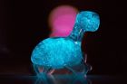 673463993204 Dino Pet Deluxe Bundle