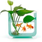 680491979889 Gallon Betta Aquarium Fish Tank Foot Bowl For
