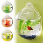 683405402886 Unbranded Acrylic Wall Mounted Bubble