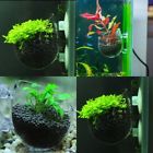 6906099562907 Unbranded Pcs Aquarium Container Fish Tank Ornament Room