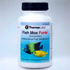 691026958279 Thomas Labs Fish Mox Forte Antibiotic Bacterial Aquarium 691026958279 Thomas Labs Fish Mox Forte Antibiotic Bacterial Aquarium