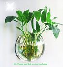 6910975915008 Plant Wall Hanging Fish