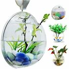 6928652758466 Wall Hanging Fish Bowls