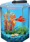 69420002 Pro Motion Api Betta 049146200028