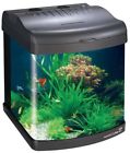 6g Nano Cube Dx Transworld 924781210291