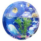 6vv163141l3qry1013 Coxeer Wall Fish Tank 190033674399