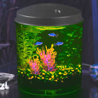 704786413435 Hawkeye Fish Tank Tetra