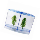 2-compartment 709112918004 Saim Betta Bow