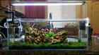 72822 Easy2find Aquarium Light Stand 764655272822