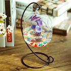 734362 Insma Colorful Clear Mini