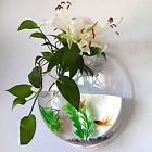 742574372373 Gdacrylic Aquariums Pet Fish